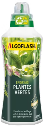 Engrais Plantes vertes (7-3-6) Alfoflash