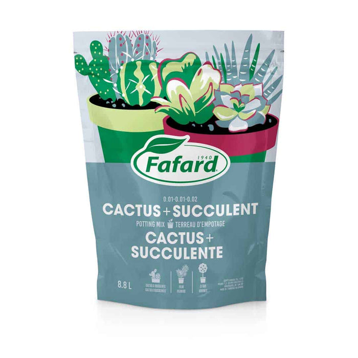 Terreau pour Cactus et Plantes Grasses