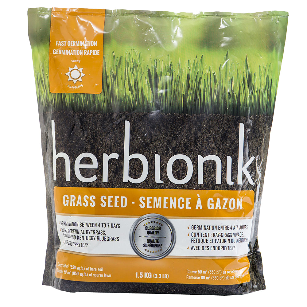 Semence à gazon - Germination rapide - Herbionik